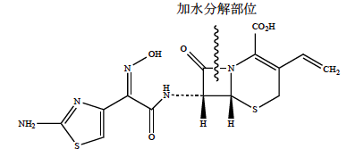 解説画像